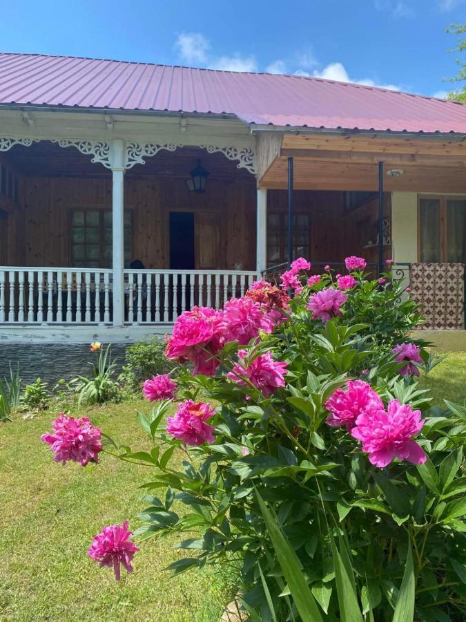 Guest House Lailashi Surmushi Екстериор снимка