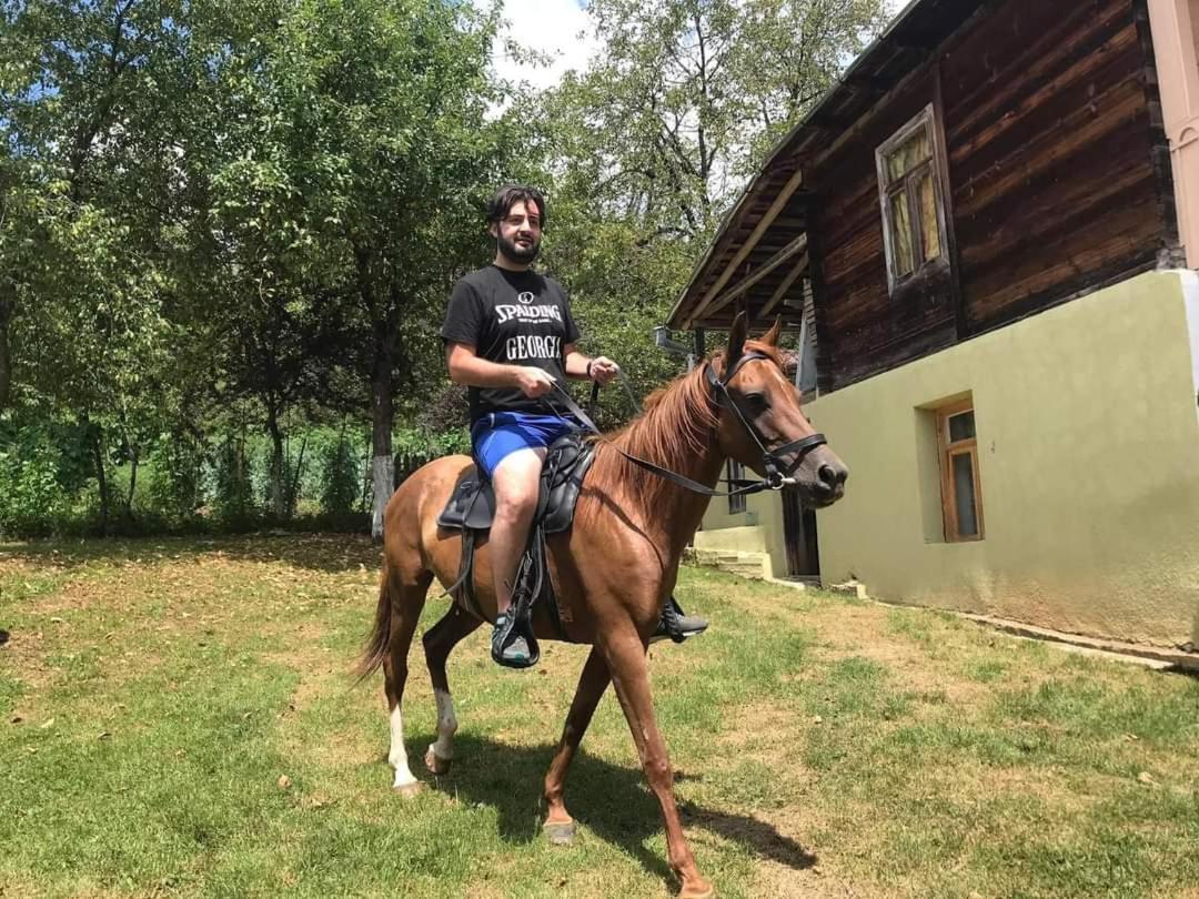 Guest House Lailashi Surmushi Екстериор снимка
