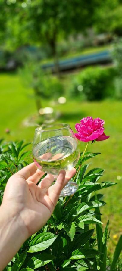 Guest House Lailashi Surmushi Екстериор снимка