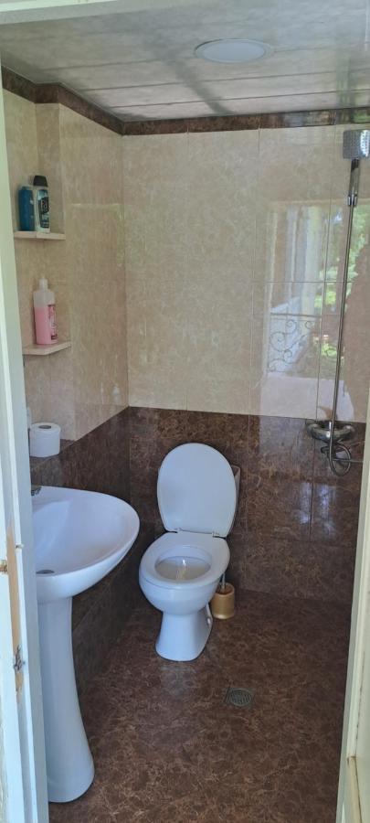 Guest House Lailashi Surmushi Екстериор снимка